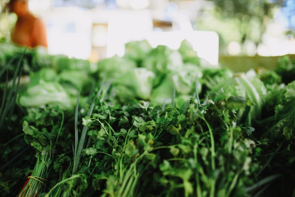 Verduras frescas en un mercado, incluyendo lechuga y cilantro, en el contexto de la alerta sanitaria por ciclosporiasis en México.